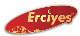 erciyes stuttgart